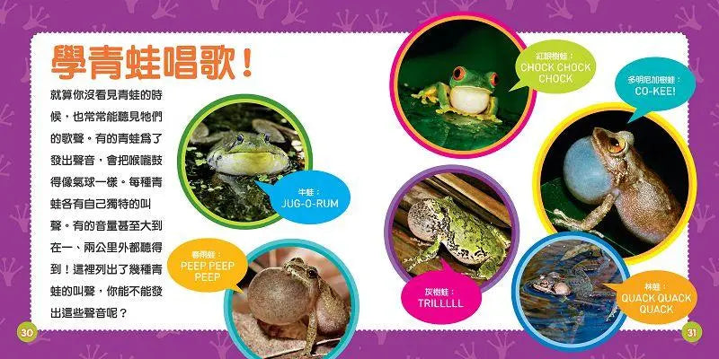 國家地理幼幼探險家: 青蛙的冒險
