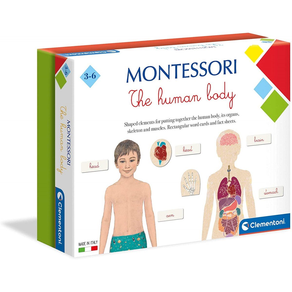 Montessori Human Body Jigsaw Puzzle
