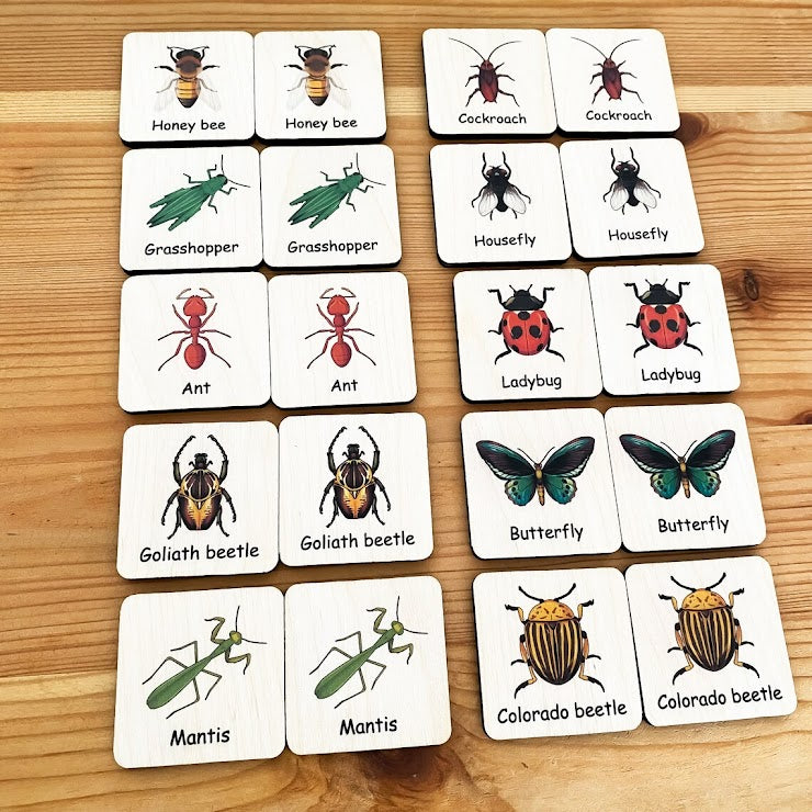 Memory Games (Bugs)