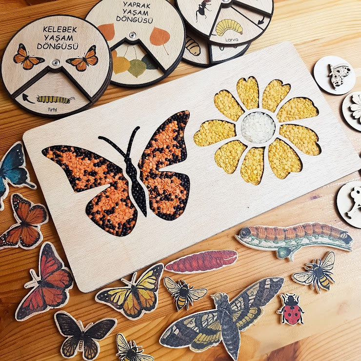Sensory Tray (Nature) - Natural
