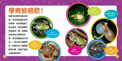國家地理幼幼探險家: 青蛙的冒險