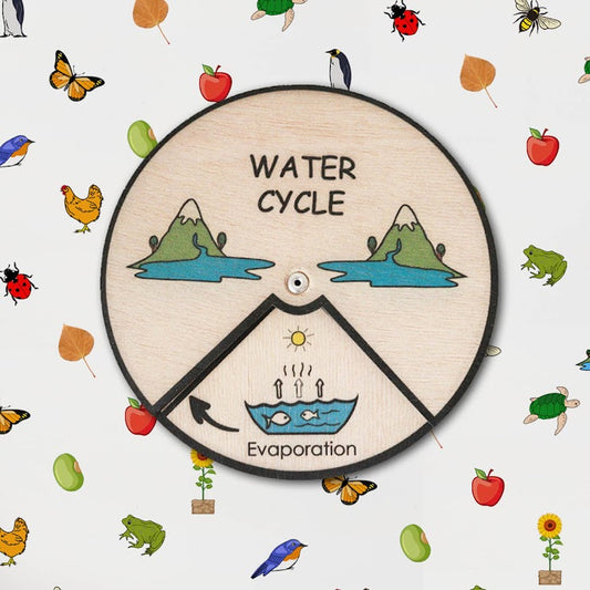 Water Cycle