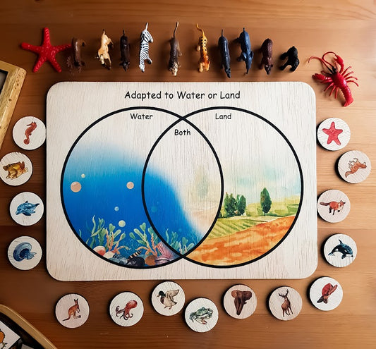Where is my place (Animals)