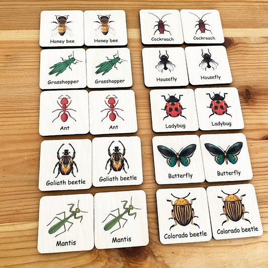 Memory Games (Bugs)