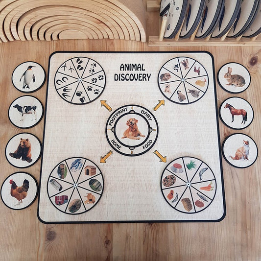 Activity Wheel