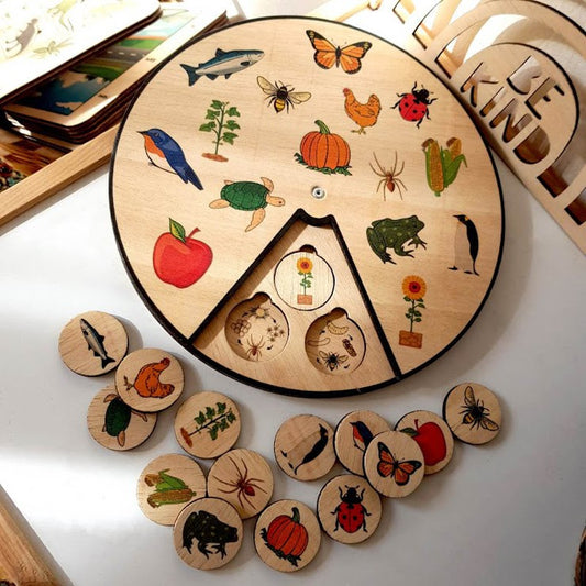 Board Life Cycle - Match Up Puzzle