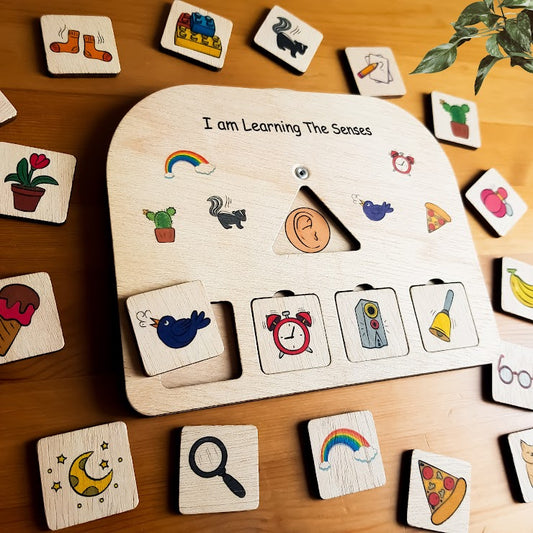 I am Learning the Senses