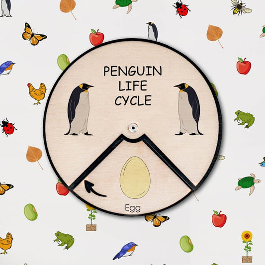 Penguin Life Cycle