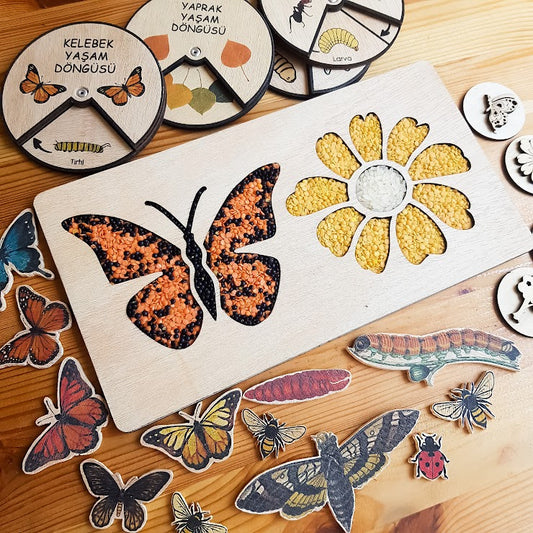 Sensory Tray (Nature) - Natural