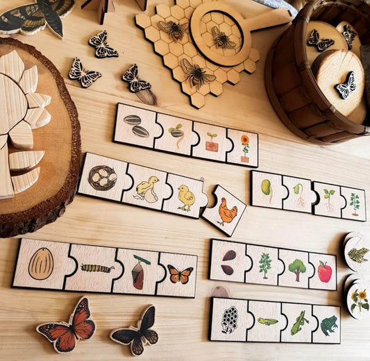 Puzzle Life Cycle