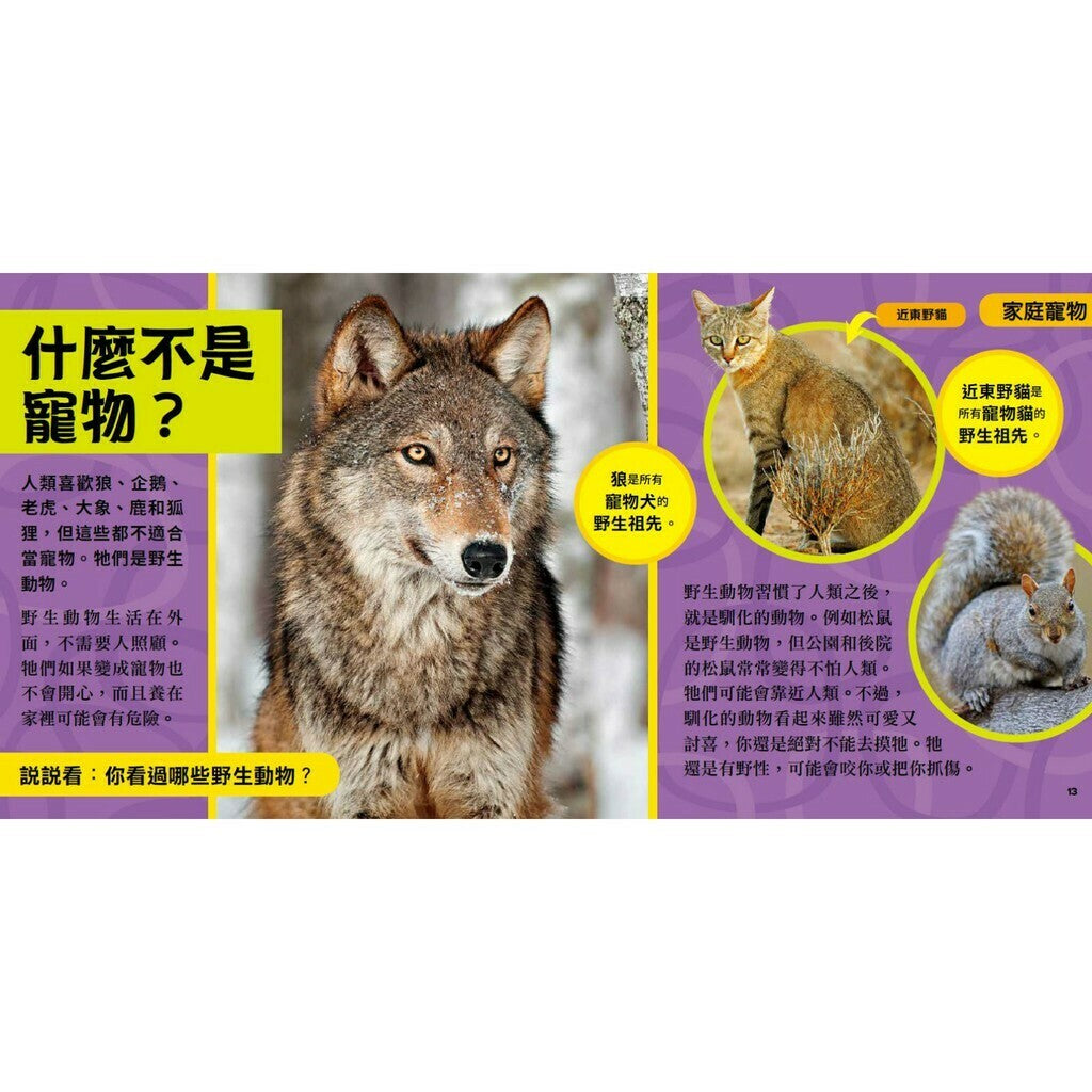 國家地理小小寵物探險家